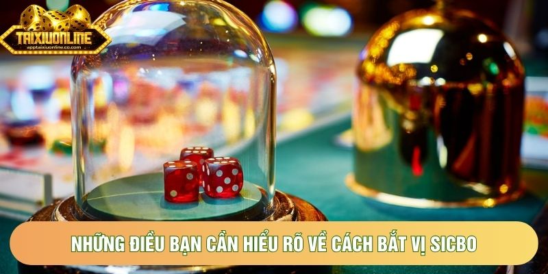 Những điều bạn cần hiểu rõ về cách bắt vị sicbo